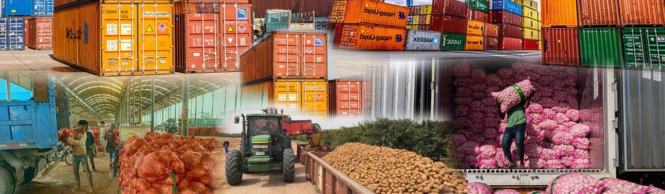 Agro Product Export Clearance Services