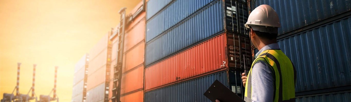 Custom Import Clearance Service